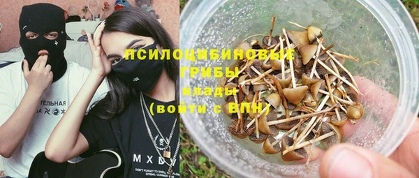 2c-b Арсеньев
