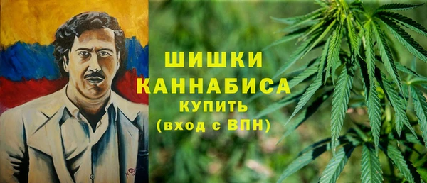 гидра Армянск
