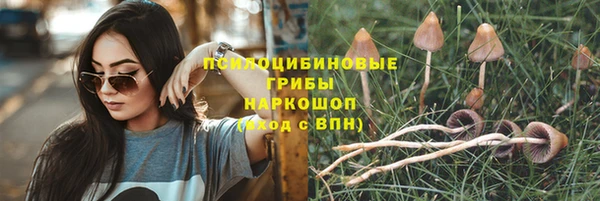 Альфа ПВП Нефтекумск