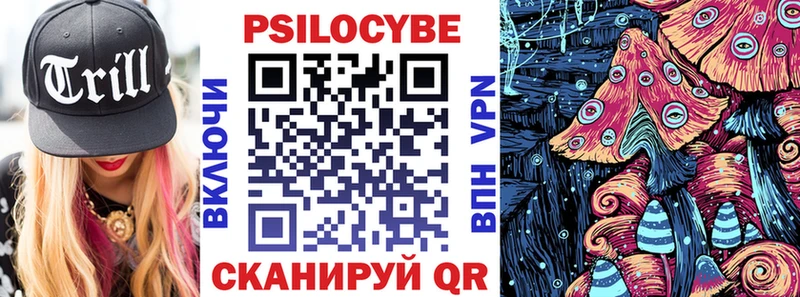 Галлюциногенные грибы Cubensis магазин наркотиков гидра ссылки Шатура