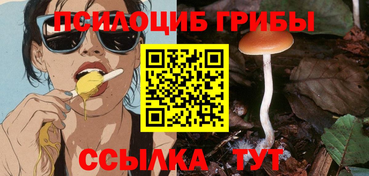 Псилоцибиновые грибы MAGIC MUSHROOMS  Вход с VPN  Шатура  как найти закладки  Галлюциногенные грибы Magic Shrooms 
